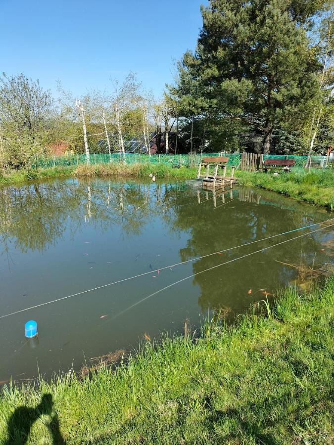 Willa Pod Brzeznikiem Bukowiec  Esterno foto